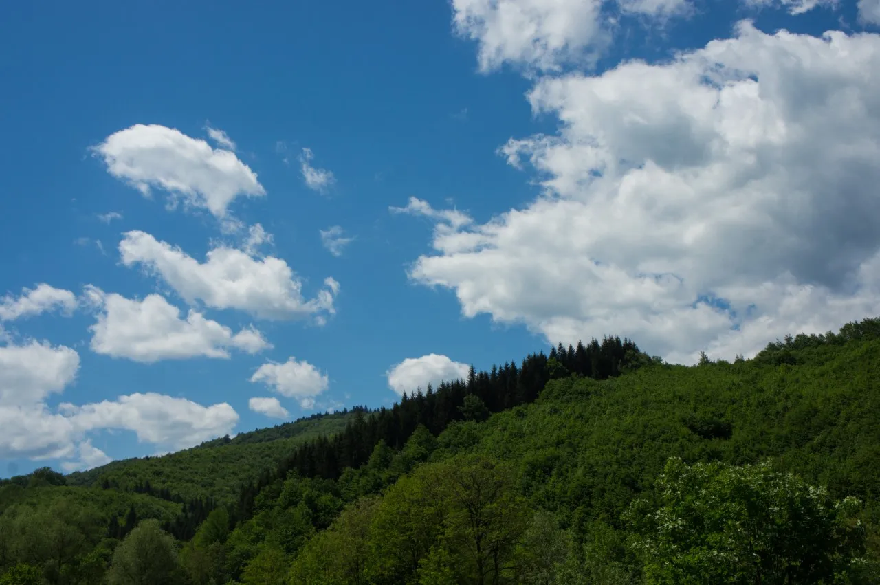 Dealuri împădurite, verzi, sub cer de vară cu nori — munții Stânișoara văzuți dinspre poiană.
